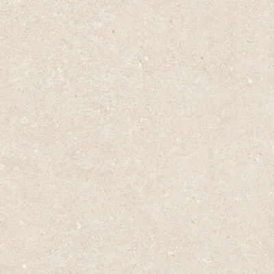 RINASCENZA ARENA BIANCO MATTE 60x60 RET