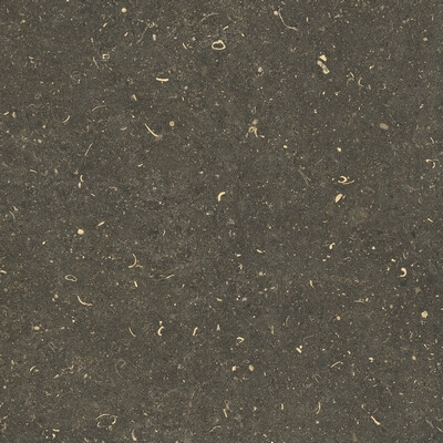 RINASCENZA ARENA PLATINO MATTE 60x60 RET