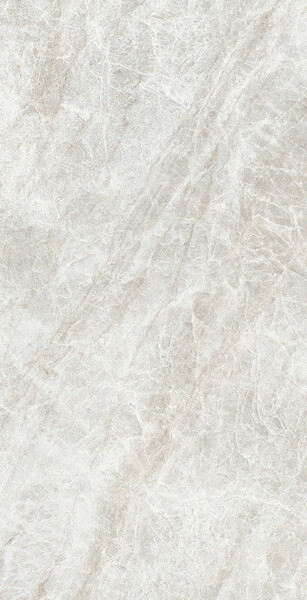 ICONIC LIFE RICE YAMUNA SILK 6MM 60X120 R
