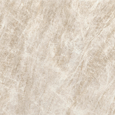 ICONIC LIFE HONEY YAMUNA MATTE 120x120 RET