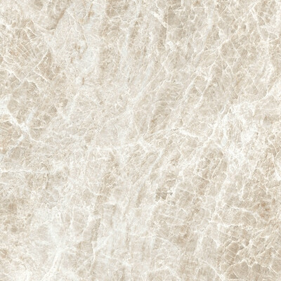 ICONIC LIFE HONEY YAMUNA GLOSSY 60x60 RET