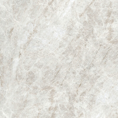ICONIC LIFE RICE YAMUNA MATTE 60x60 RET