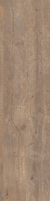 SOUL WALNUT 30X120X2 SP RT