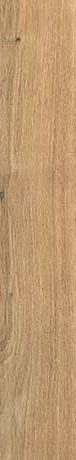 PLANCHES DE REX NOISETTE 20X120 RET