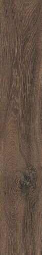 BARKWOOD BURNT 20120