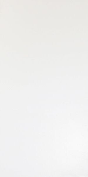 Solid White Matt 40x80