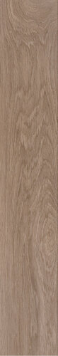 BADIA CASTAGNO RET  20X120