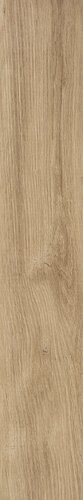 BADIA FRASSINO RET  25X151,2