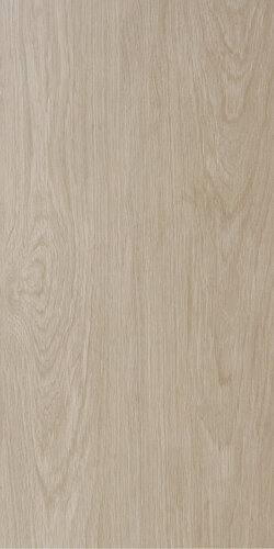 BADIA ACERO RET  60x120