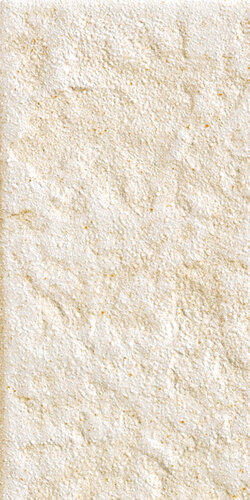 CIVITAS NEVE  15x30