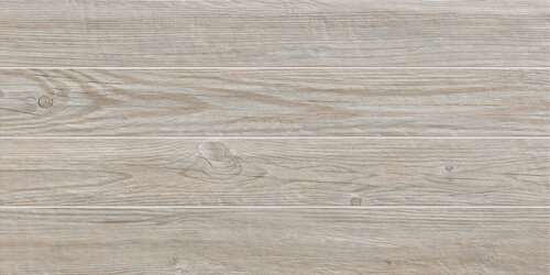 CIPRESSO QUADROTTA  30x60