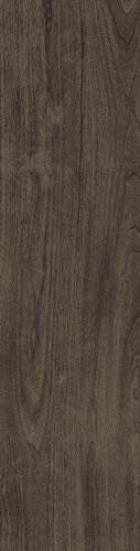 VERM.PRO OAK RET SP5  30x120
