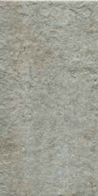 AVT SILVER OUT