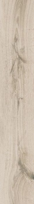 ECH ALPIN 20X120 RETT 20MM