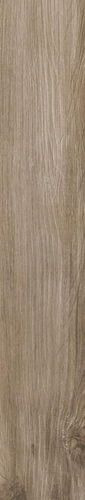 ESP CINNAMON RETT