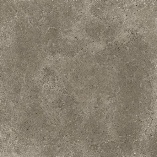 SVN 60X60 TABACCO RETT