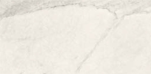 APUANO ANTICATO SQ. 120X60
