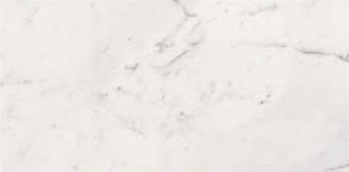 STATUARIO SQ. 120X60
