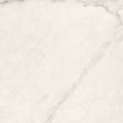 APUANO ANTICATO SQ. 60X60