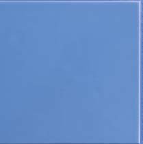 FLEXI 1 BLUE BRI