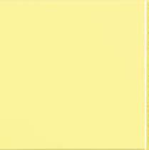 FLEXI 1 YELLOW BRI