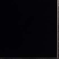 FLEXI 2 BLACK BRI