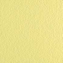 FLEXI B YELLOW MAT