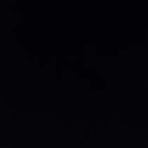 FLEXI MOS.BLACK BRI