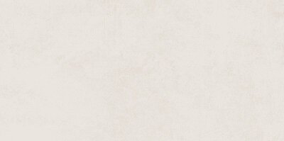 P.PLANET BONE/30X60/A/R