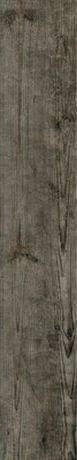 NATURE BROWN 20120