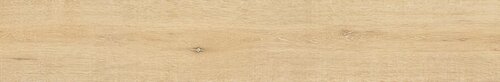 WHISTLER HONEY/24X151/R
