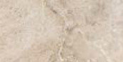 WILD DUST 3060
