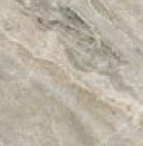 WILD SILVER 4545