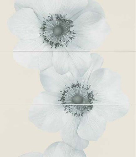 FLOWERS OCEANO