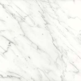 FLOOR BI.STATUARIO/E