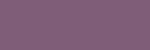DREAM PURPLE RT
