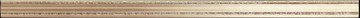 LUCE BEIGE/3