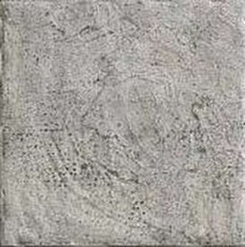 BIARR,CENDRE R11 20X20