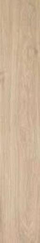 ACANTO MIELE RET 36RA20X120