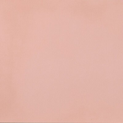 R-EVOLUTION LIGHT PINK