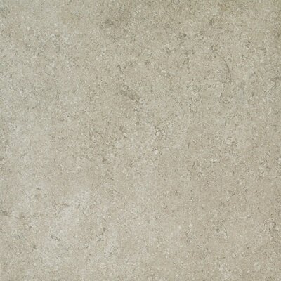 FOSSIL GRIS NATURAL