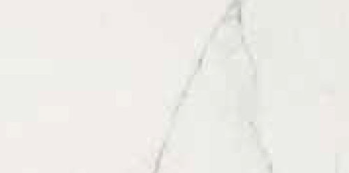 TIMELESS CALACATTA NAT 30X60 RET