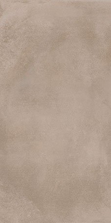 Taupe (60110) 50x100 Керамогранит
