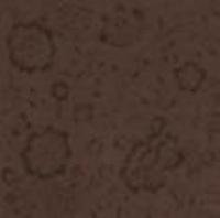Decoro Fleurs Brun (48901) 20x20 Керамогранит