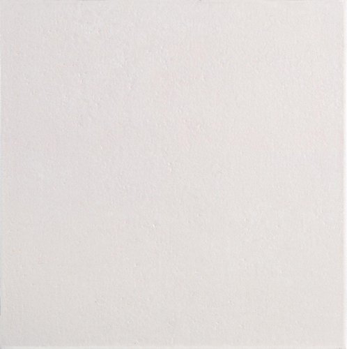 AVILA BLANCO
