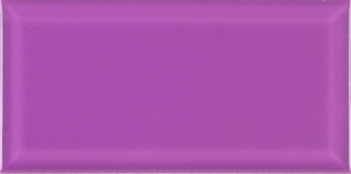 B-10 VIOLETA