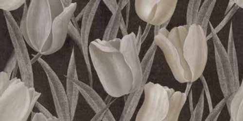 DECORANDUM FLOS