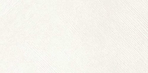 SEGNI GESSO