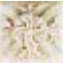 TOZZETTO BEIGE