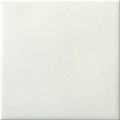 20X20 WHITE